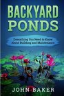 Backyard Ponds  Everything You Need to Know About Building and Maintenance