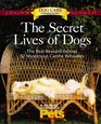 The Secret Lives of Dogs