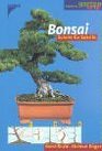 Bonsai Schritt für Schritt.