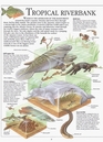 Nature Crosssections