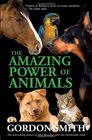 The Amazing Power of Animals