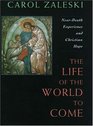 The Life of the World to Come NearDeath Experience and Christian Hope