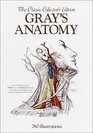 Gray's Anatomy The Classic Collector's Edition