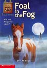 Foal in the Fog (Animal Ark Hauntings, Bk 5)