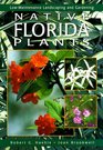 Native Florida Plants LowMaintenance Landscaping and Gardening