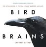 Bird Brains: The Intelligence of Crows, Ravens, Magpies, and Jays