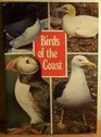 Birds of the Coast Bk 1