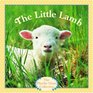 The Little Lamb