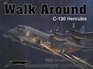 Lockheed C-130 Hercules - Walk Around No. 31