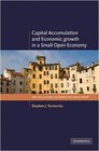 Capital Accumulation and Economic Growth in a Small Open Economy