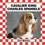 Cavalier King Charles Spaniels
