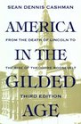 America in the Gilded Age From the Death of Lincoln to the Rise of Theodore Roosevelt