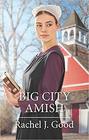 Big City Amish