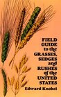 Field Guide to the Grasses Sedges and Rushes of the Northern United States