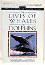The Lives of Whales and Dolphins From the American Museum of Natural History