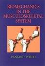 Biomechanics in the Musculoskeletal System