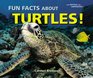 Fun Facts About Turtles