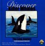 Discover Killer Whales The Long Journey North