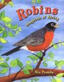 Robins Songbirds of Spring