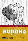 Buddha Band 5