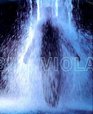 Bill Viola