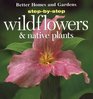 Wildflowers & Native Plants (Step-By-Step)
