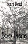 Stolen Dreams  A Mary O'Reilly Paranormal Mystery  Book Fourteen