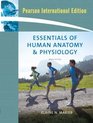 Essentials Of Human Anatomy  Physiology Edition 4
