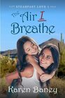 The Air I Breathe: A Christian Romance (Steadfast Love Book 1)
