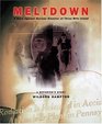 Meltdown  A Race Against Nuclear Disaster at Three Mile Island A Reporter's Story