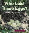 Who laid these eggs