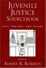 Juvenile Justice Sourcebook Past Present and Future