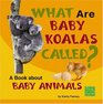 What Are Baby Koalas Called A Book about Baby Animals