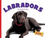 Labradors