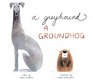 A Greyhound a Groundhog