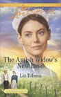 The Amish Widow's New Love