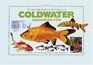 An Essential Guide to Choosing Your Coldwater Aquarium Fish