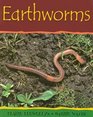 Earthworms (Minibeasts)
