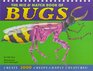 The Mix  Match Book of Bugs