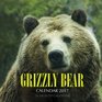Grizzly Bear Calendar 2017 16 Month Calendar
