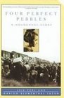 Four Perfect Pebbles A Holocaust Story