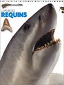 La Peur des requins