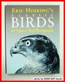 Eric Hosking's Classics Birds 60 Years of Bird Photography