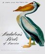 Audubon's Birds Of America The AUDUBON Society Baby Elephant Folio