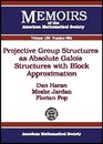 Projective Group Structures as Absolute Galois Structures with Block Approximation