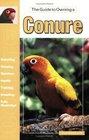 The guide to owning a conure