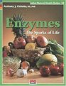Enzymes The Sparks of Life
