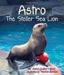 Astro The Steller Sea Lion