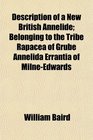 Description of a New British Annelide Belonging to the Tribe Rapacea of Grube Annelida Errantia of MilneEdwards