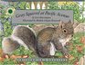 Gray Squirrel at Pacific Avenue/Mini Book